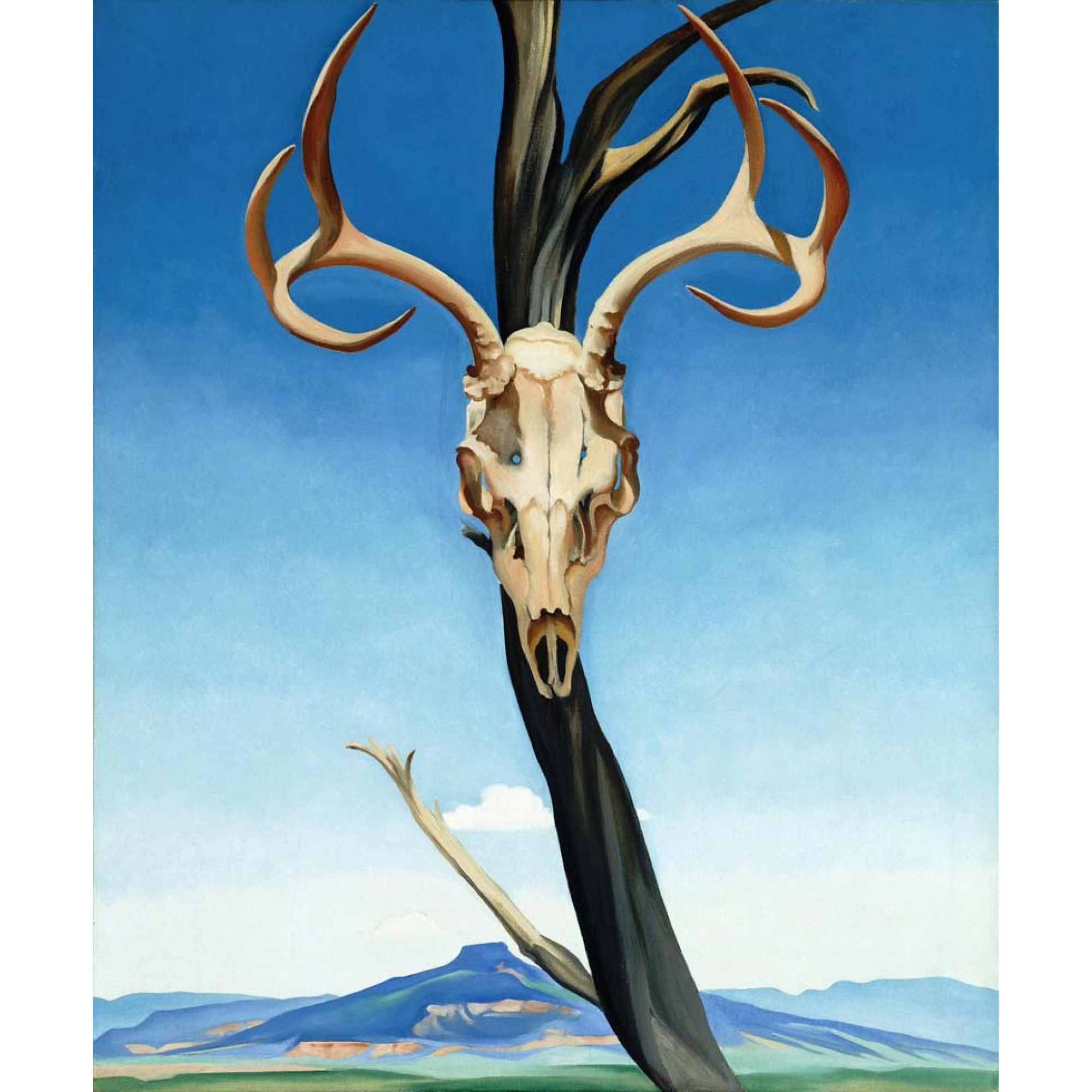 Dijital Çizimler - Kanvas Tablo