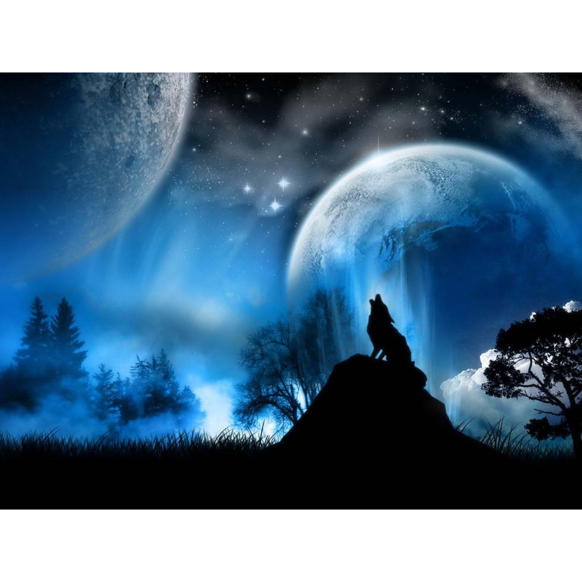 Dijital Çizimler - Kanvas Tablo