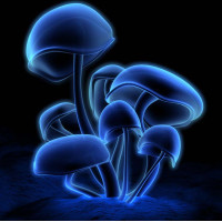 Dijital Çizimler - Kanvas Tablo