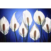 Çiçekler - Kanvas Tablo