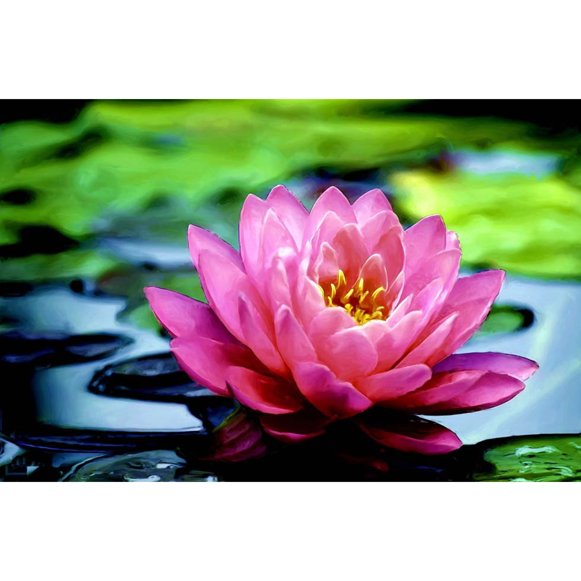 Çiçekler - Kanvas Tablo