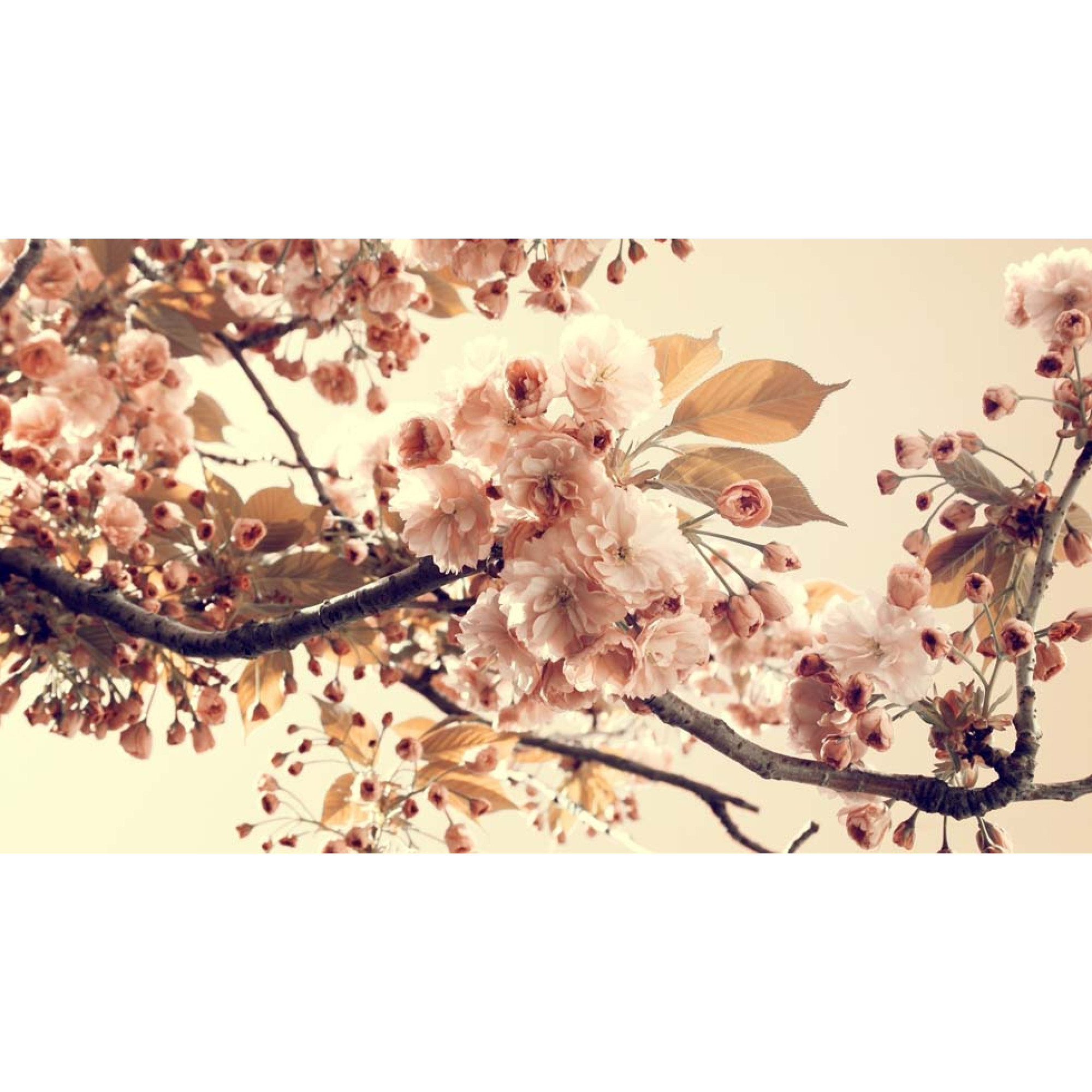 Çiçekler - Kanvas Tablo