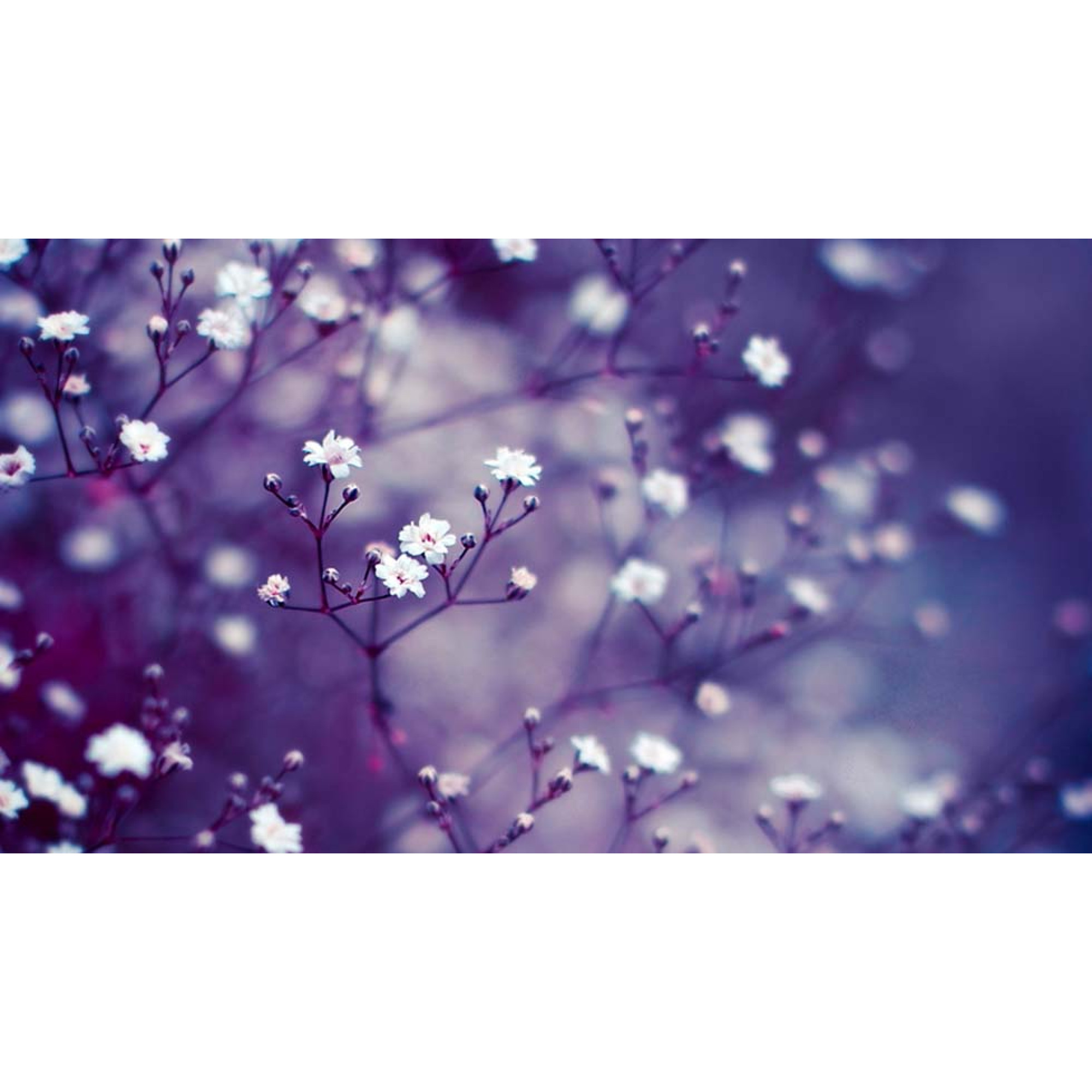 Çiçekler - Kanvas Tablo