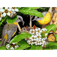 Hayvanlar - Kanvas Tablo