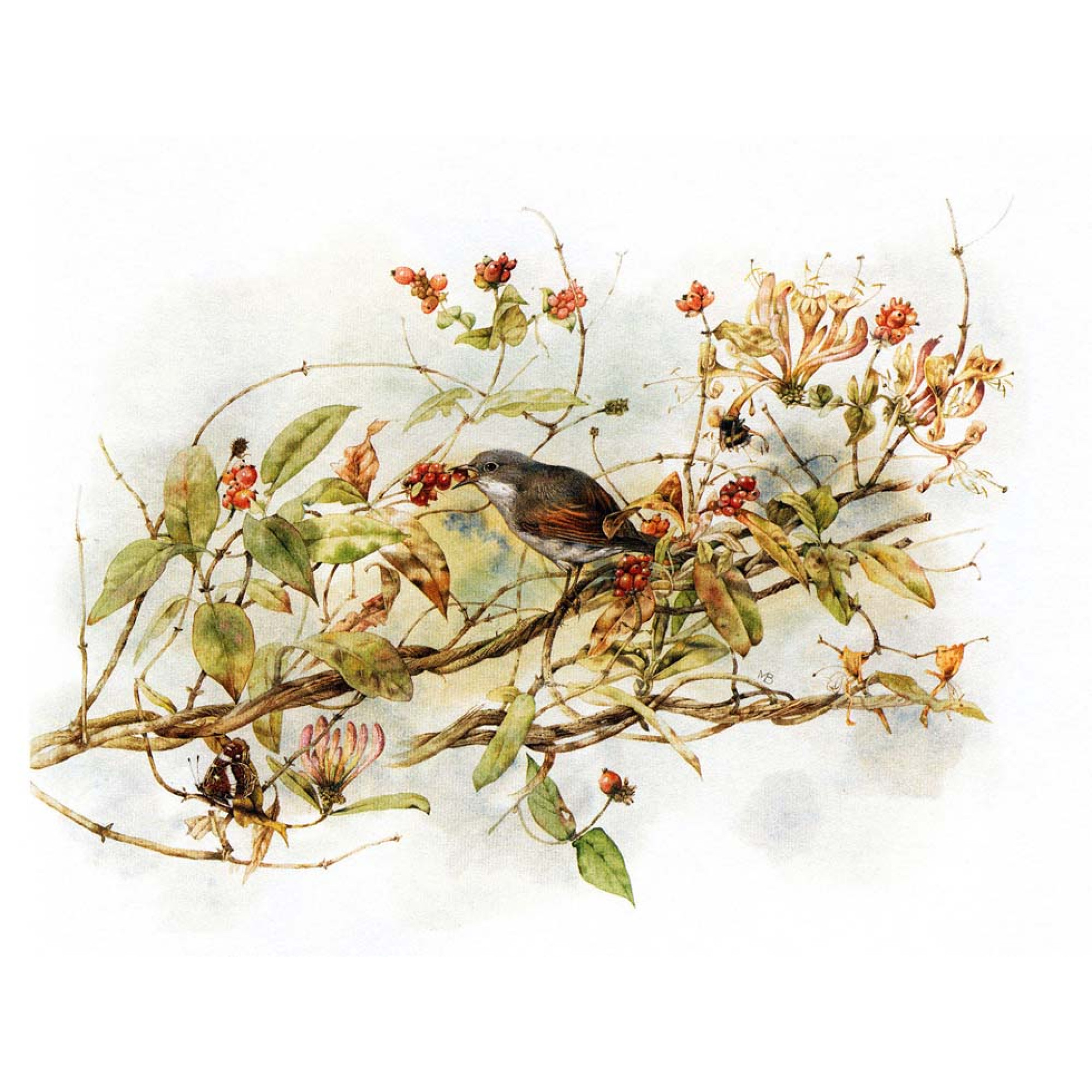 Hayvanlar - Kanvas Tablo