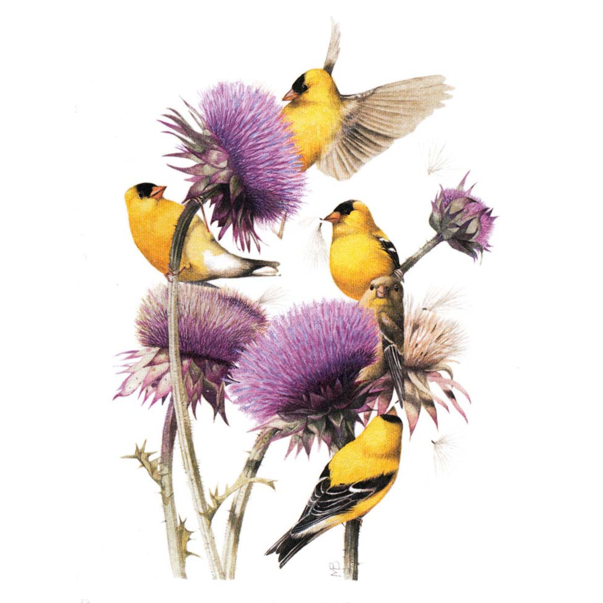 Hayvanlar - Kanvas Tablo