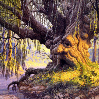 Sürreal - Kanvas Tablo