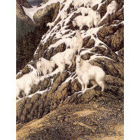 Sürreal - Kanvas Tablo