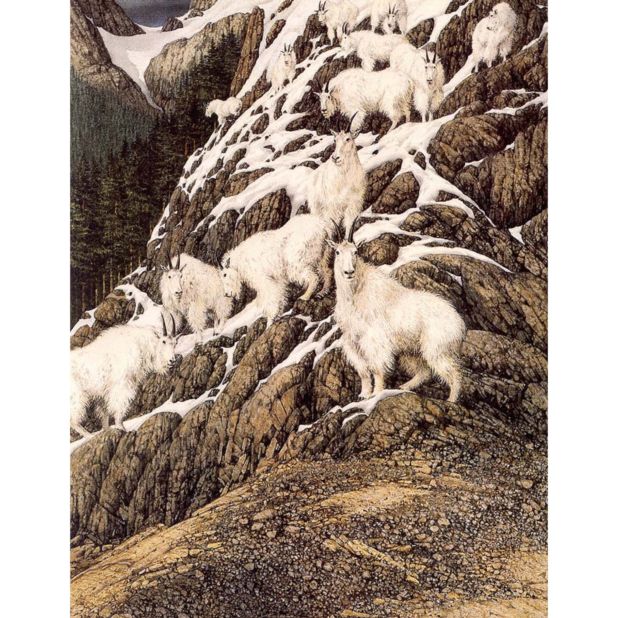 Sürreal - Kanvas Tablo