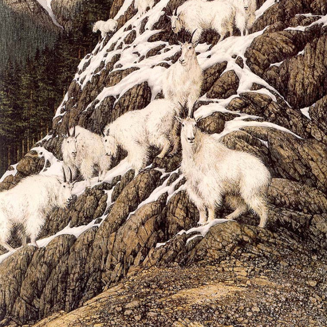 Sürreal - Kanvas Tablo