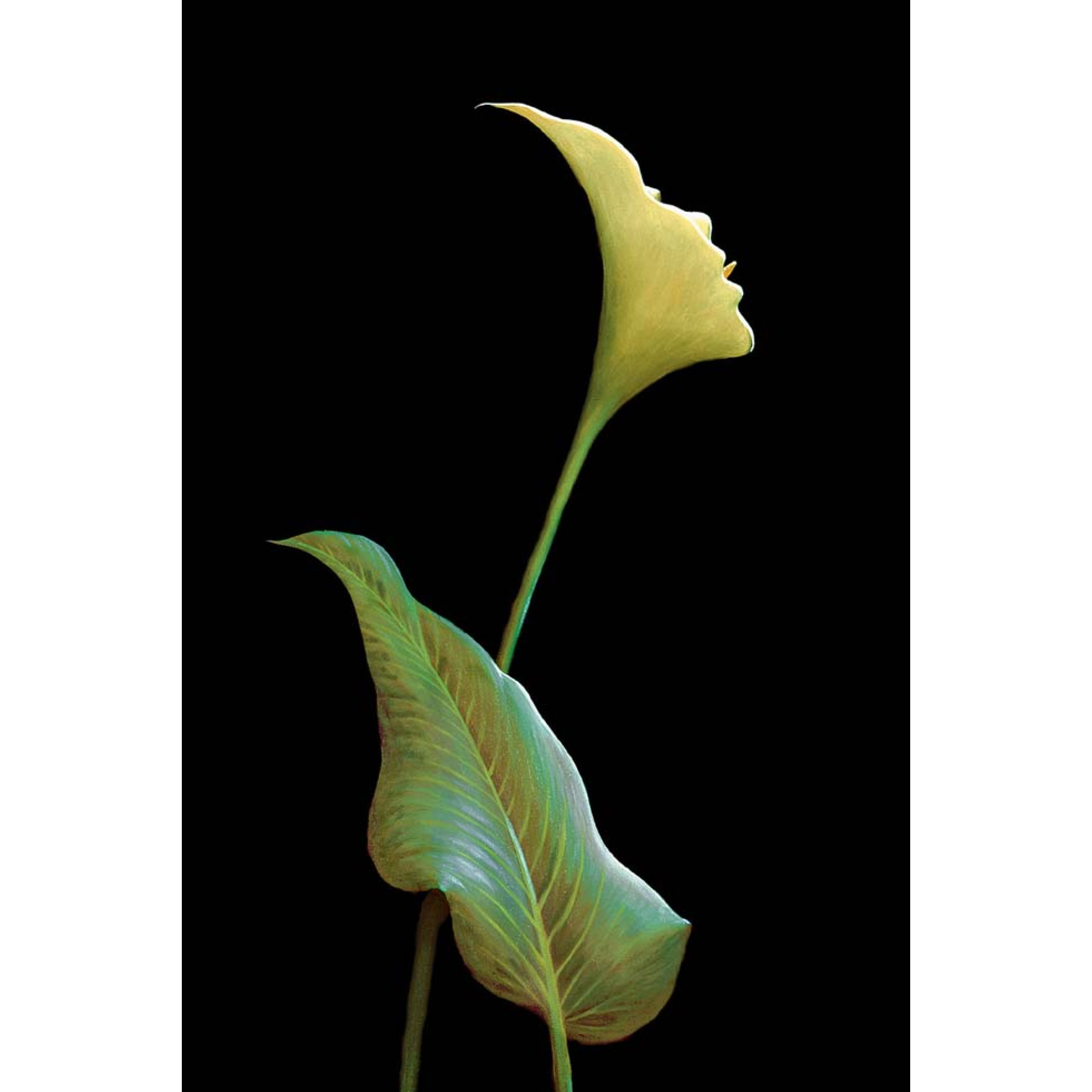 Sürreal - Kanvas Tablo