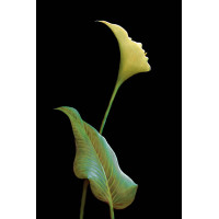 Sürreal - Kanvas Tablo