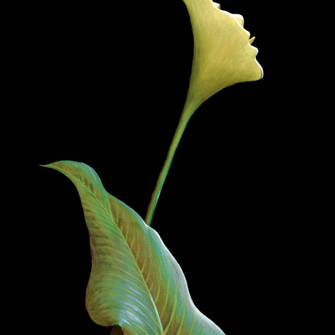 Sürreal - Kanvas Tablo