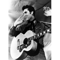 Ünlüler - Kanvas Tablo