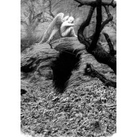 Ugat Erko Özel - Kanvas Tablo