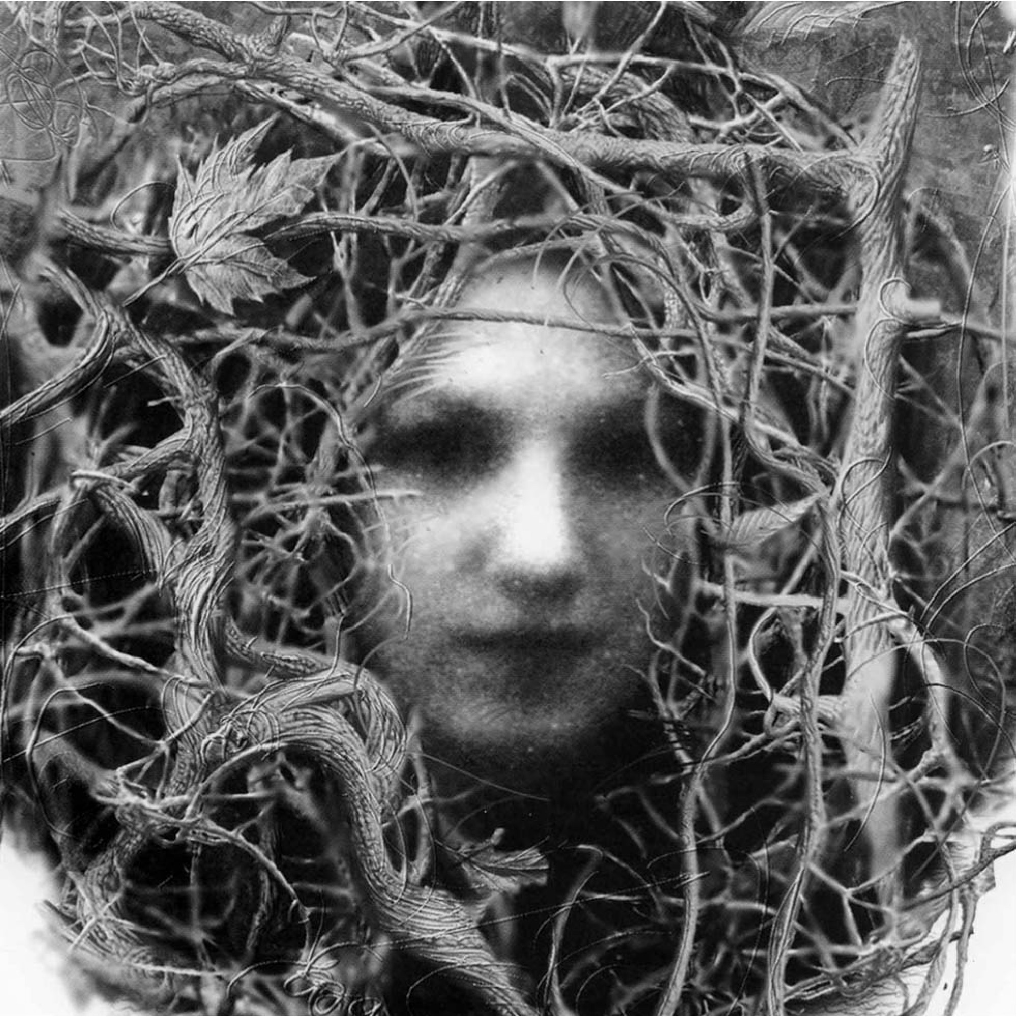 Ugat Erko Özel - Kanvas Tablo