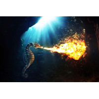 Alev - Duman - Su Kanvas Tablo