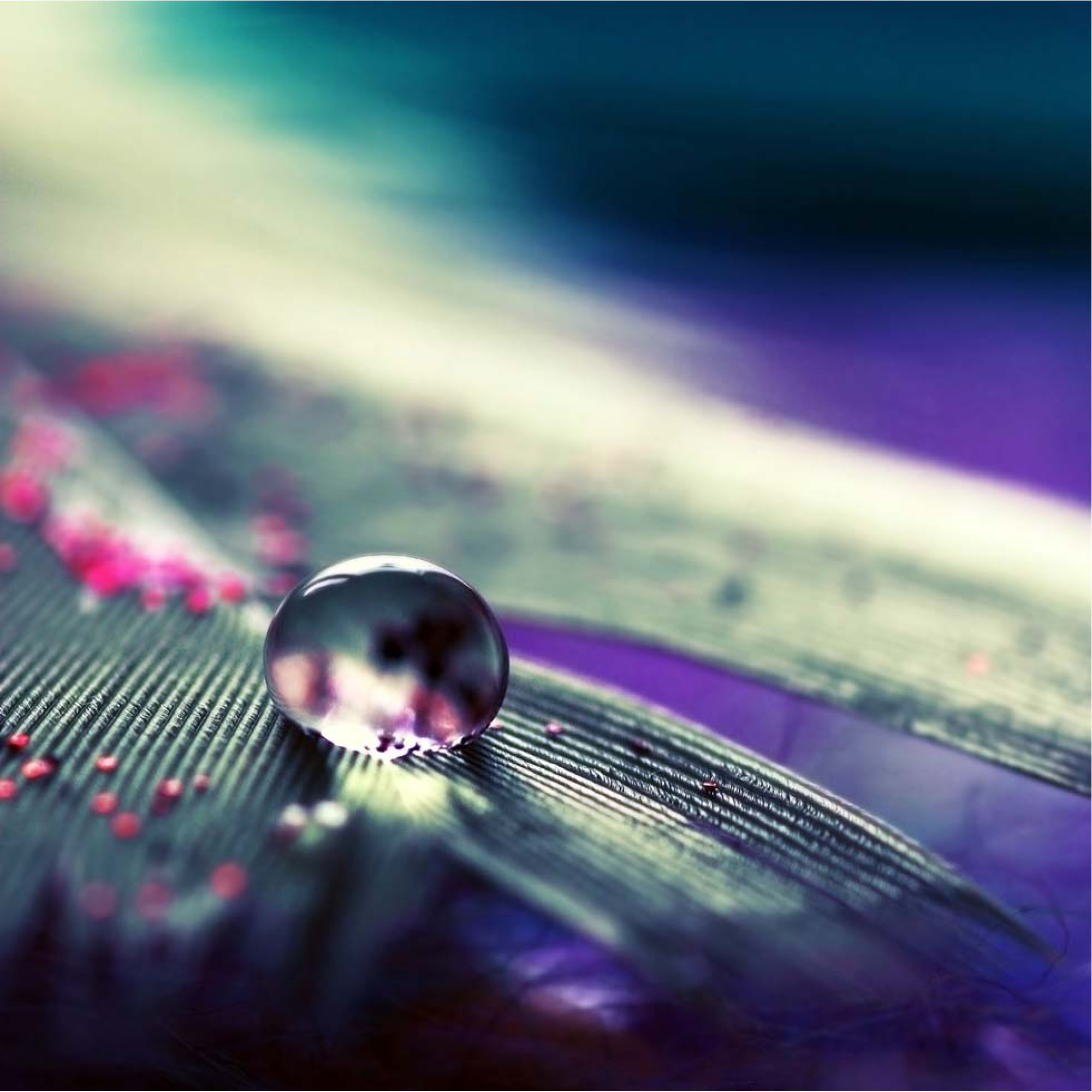 Alev - Duman - Su Kanvas Tablo